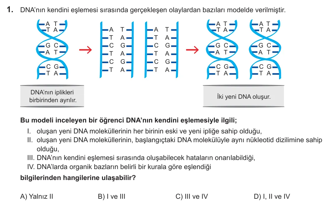 2022 LGS Fen Bilimleri 1. soru