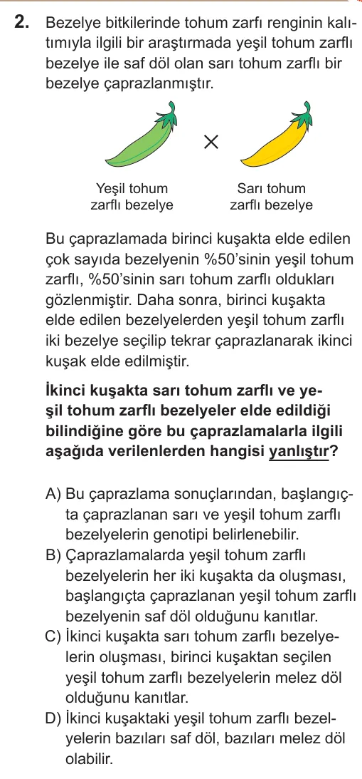 2022 LGS Fen Bilimleri 2. soru