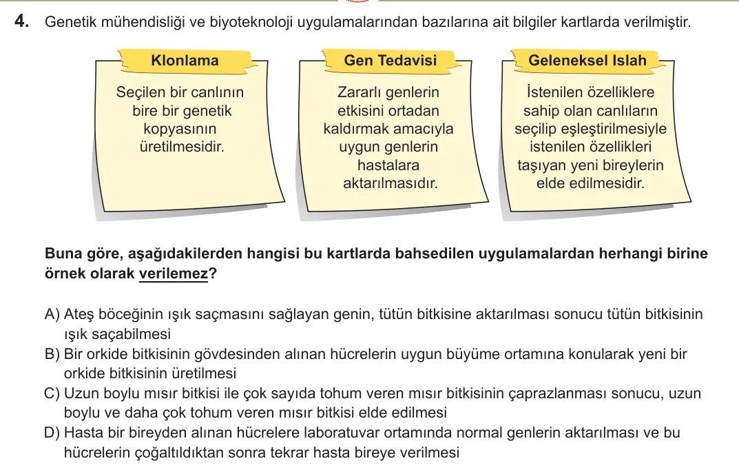 2022 LGS Fen Bilimleri 4. soru