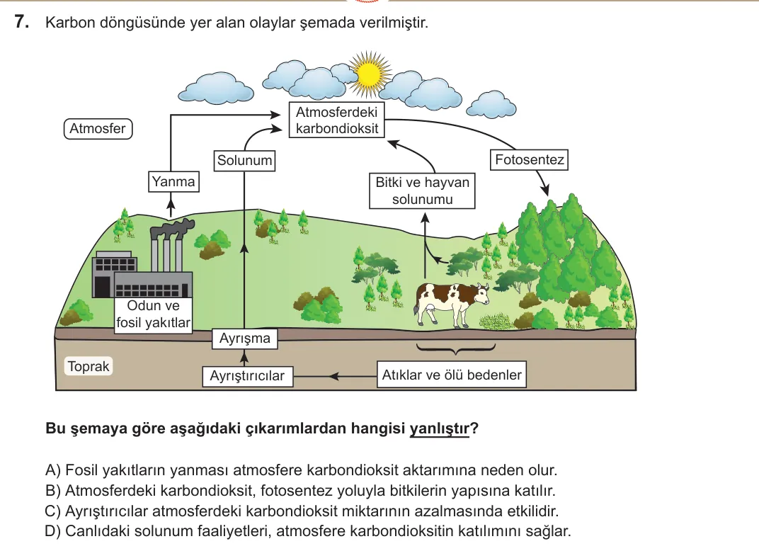 2022 LGS Fen Bilimleri 7. soru