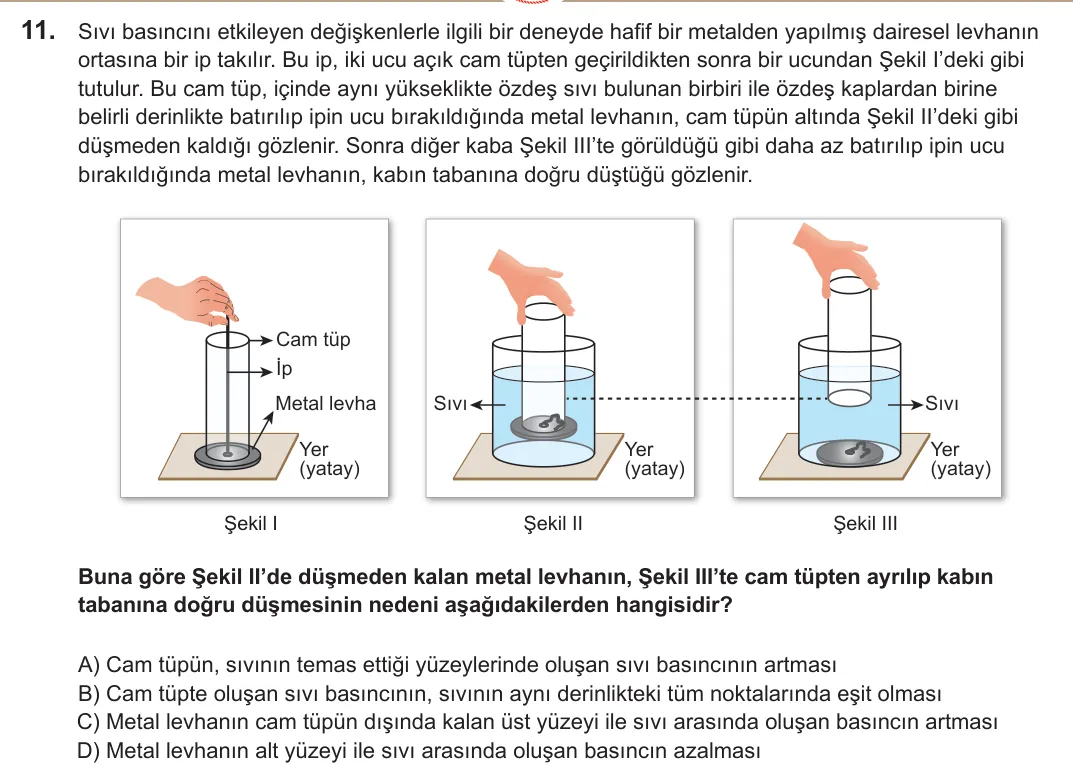 2022 LGS Fen Bilimleri 11. soru
