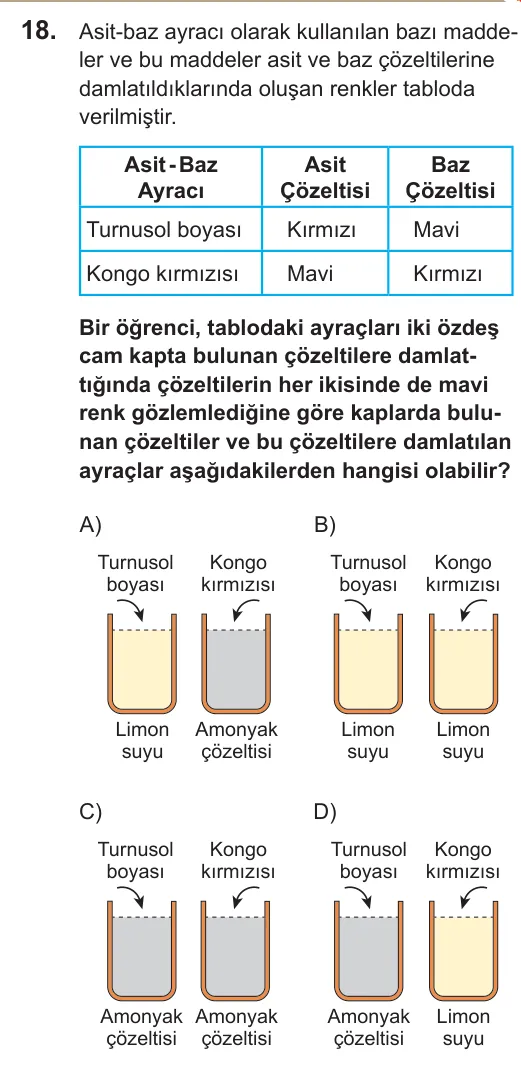 2022 LGS Fen Bilimleri 18. soru