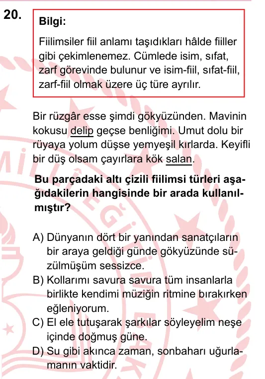 2023 LGS Türkçe 20. soru