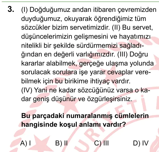 2024 LGS Türkçe 3. soru