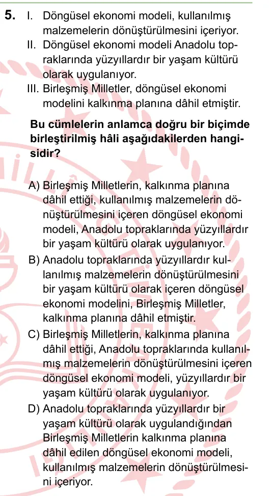 2024 LGS Türkçe 5. soru