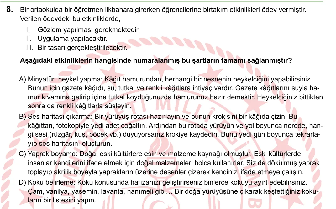 2024 LGS Türkçe 8. soru