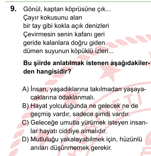 2024 LGS Türkçe 9. soru