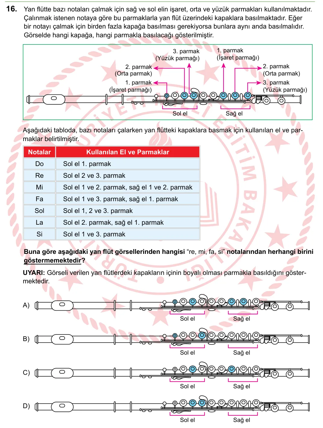 2024 LGS Türkçe 16. soru