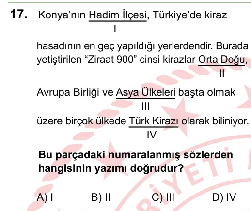 2024 LGS Türkçe 17. soru