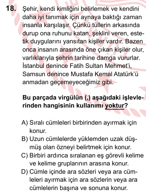 2024 LGS Türkçe 18. soru
