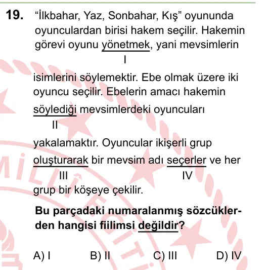 2024 LGS Türkçe 19. soru