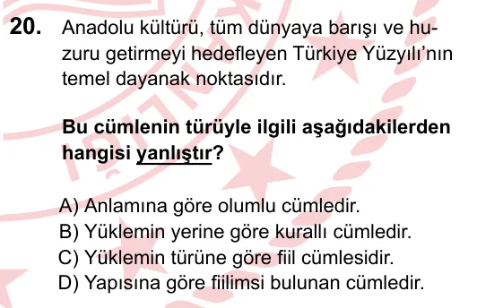 2024 LGS Türkçe 20. soru